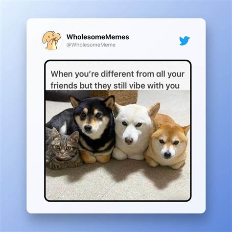 cozy meme|cute wholesome memes.